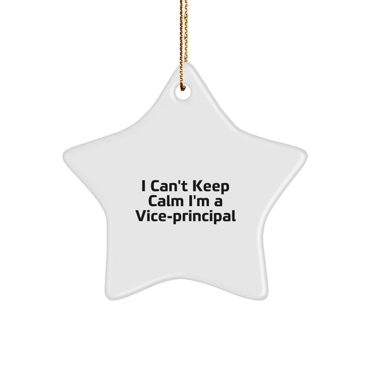 Funny Vice-principal Star Ornament Gifts from Friends - I'm A Vice-principal Christmas Unique Gifts - Image 1