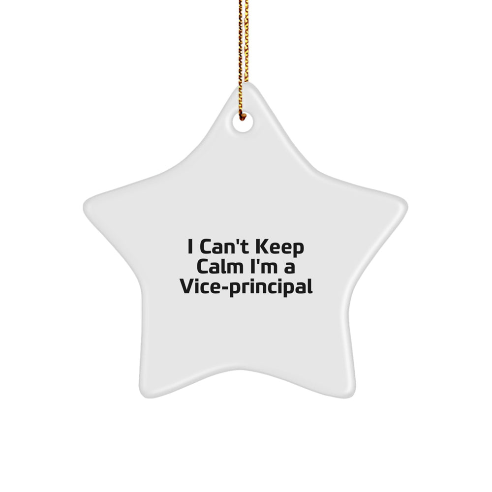 Funny Vice-principal Star Ornament Gifts from Friends - I'm A Vice-principal Christmas Unique Gifts - Image 1