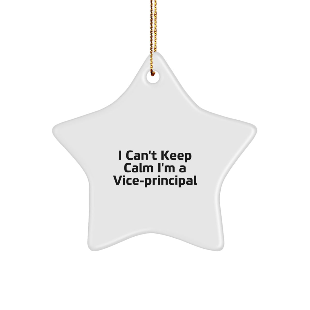 Funny Vice-principal Star Ornament Gifts from Friends - I'm A Vice-principal Christmas Unique Gifts - Image 1
