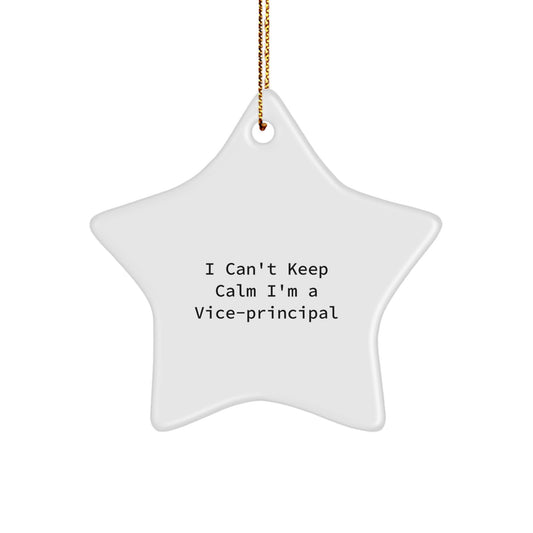 Funny Vice-principal Gifts for Men - 'I Can't Keep Calm I'm A Vice-principal' Christmas Unique Star Ornament, Gifts from Men to Vice-principal - Image 1