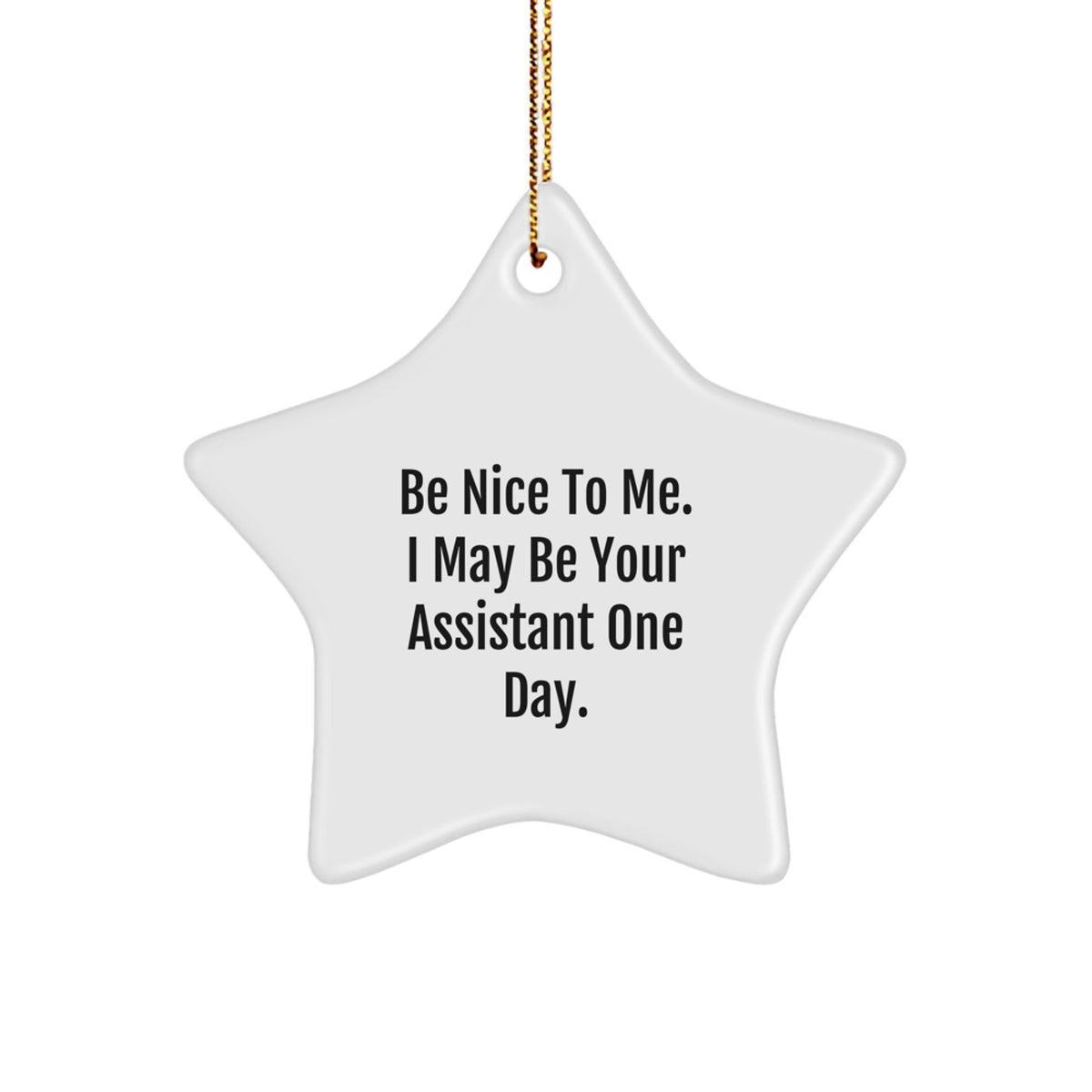 Funny Assistant Star Ornament, Gifts from Friends or Family, Christmas Unique Ornaments for Assistants - Image 1
