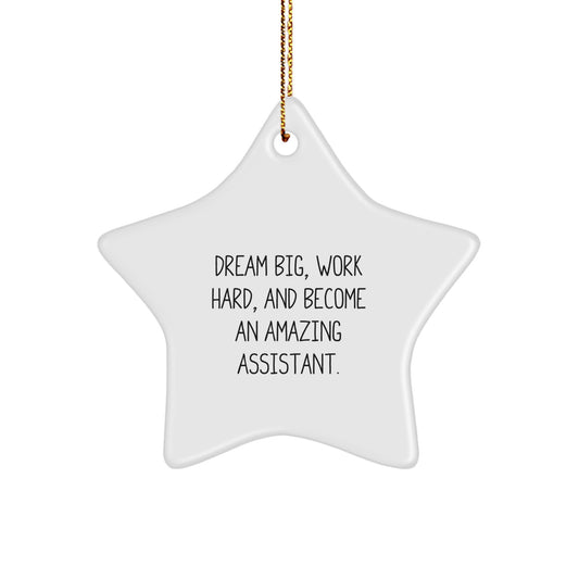 Funny Star Ornament Gifts from Family for Assistant - Dream Big, Work Hard, Become Amazing Assistant Star Decorations - Image 1
