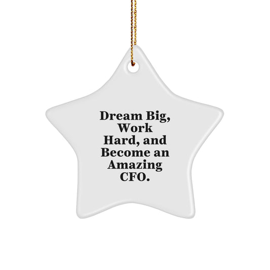 Dream Big CFO Gifts from Men for Women Friends Coworkers Family Christmas Unique Star Ornament Quotes Funny - Image 1