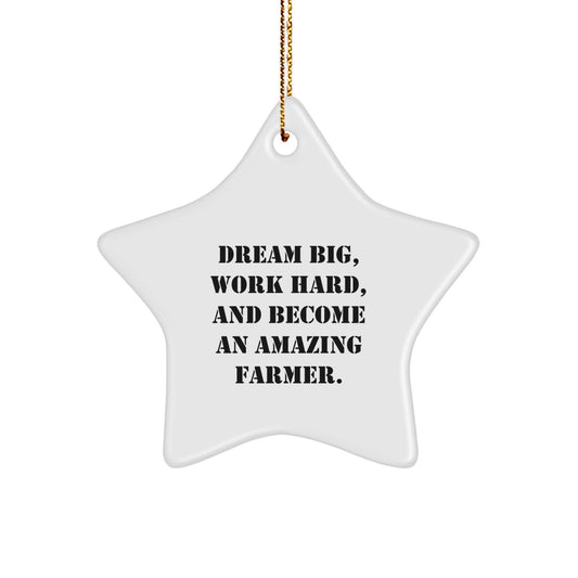 Dream Big Farmer Gifts from Friends and Family - Christmas Unique Star Ornament for Men Women Coworkers - Image 1