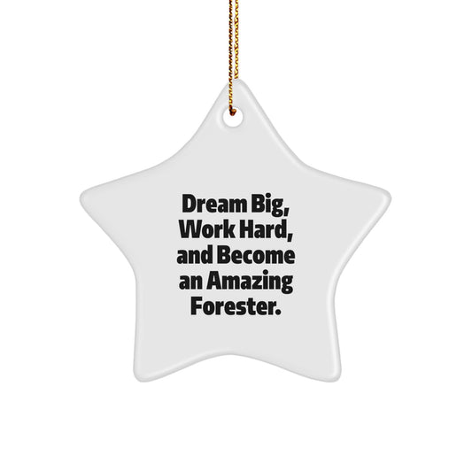 Funny Inspirational Forester Gifts from Friends, Star Ornament, Christmas Unique Decor, Dream Big Work Hard Quote, Gifts for Men Women Family - Image 1