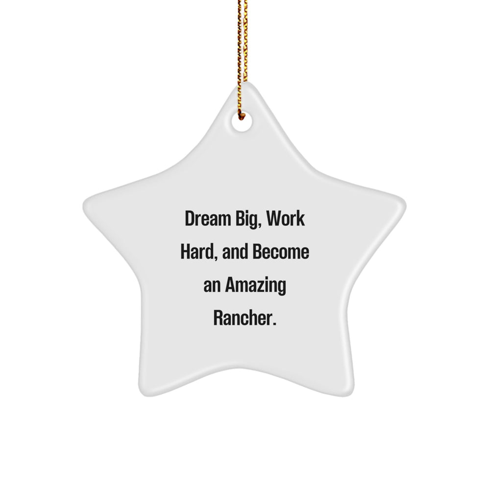 Funny Rancher Star Ornament Gifts for Men, Women, Coworkers, Family, Friends - Inspirational Star Shaped Decoration for Christmas Unique Gifts - Image 1
