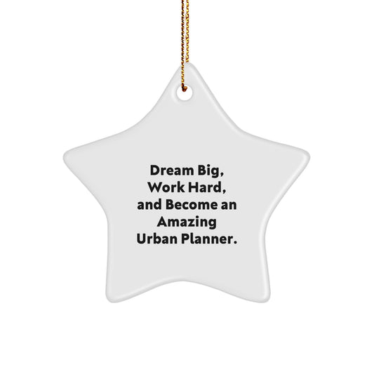 Funny Urban Planner Gifts from Men - Inspirational Star Ornament for Urban Planner Women, Friends, Family - Dream Big Work Hard - Unique Christmas Unique Gifts for Office Decor - Image 1