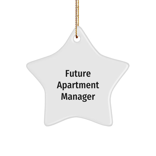 Funny Quote Gifts for Future Apartment Manager, Christmas Unique Gifts from Family, Fun Star Ornament for Men, Women, Friends - Image 1