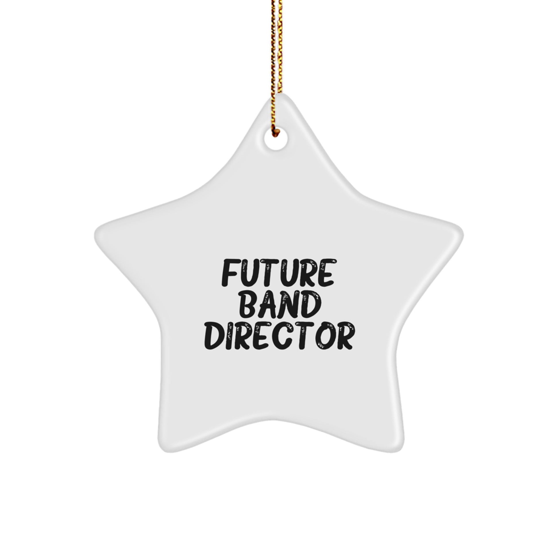 Funny Band Director Gifts from Friends, Inspirational Star Ornament for Future Band Director, Christmas Unique Gifts for Band Directors - Image 1