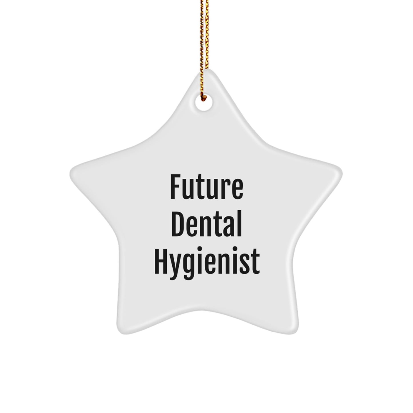 Funny Future Dental Hygienist Star Ornament Gifts from Family for Christmas Unique Gifts - Image 1