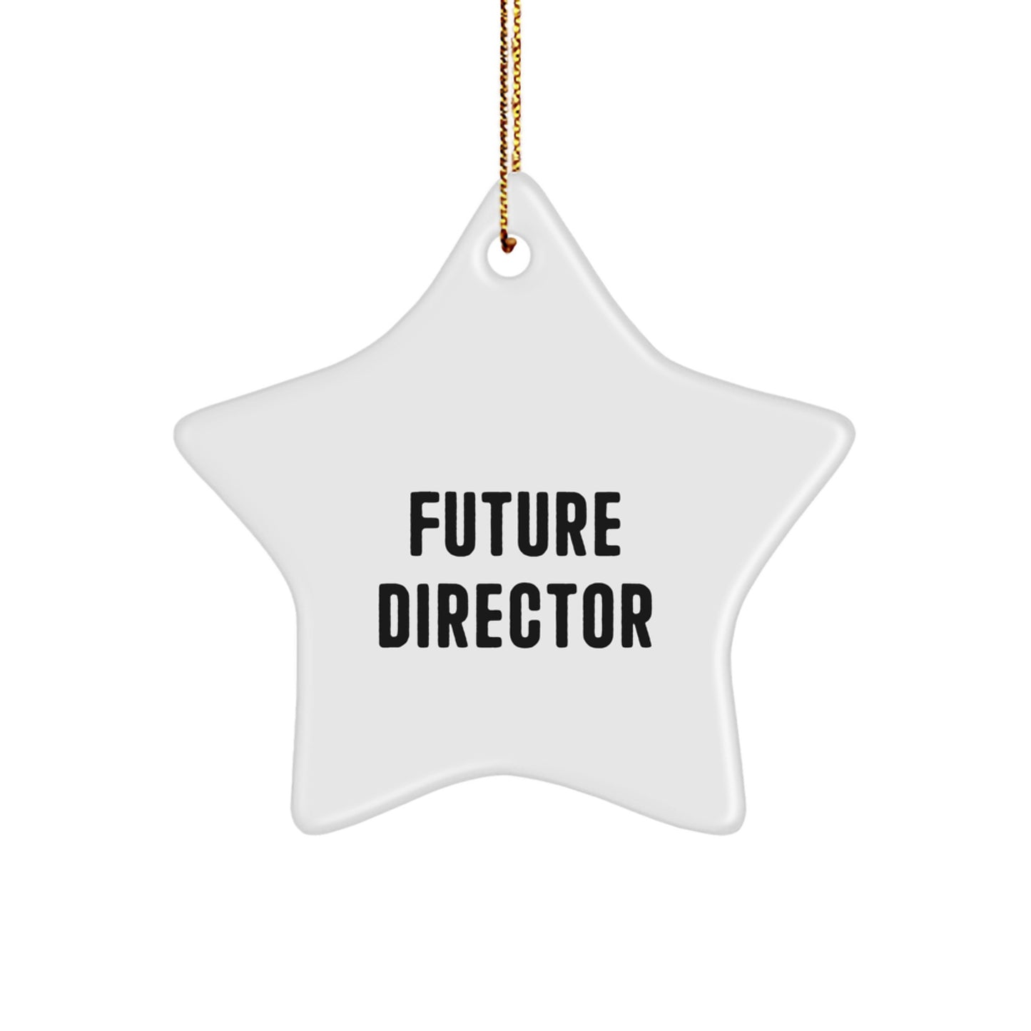 Funny Future Director Gifts from Men for Director Star Ornament White Star Shaped Christmas Unique Gifts - Image 1
