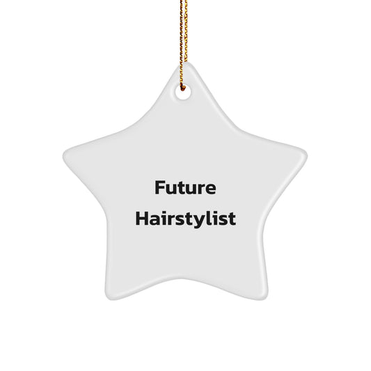 Funny Hairstylist Star Ornament Gifts from Friends to Hairstylists at Christmas - Image 1