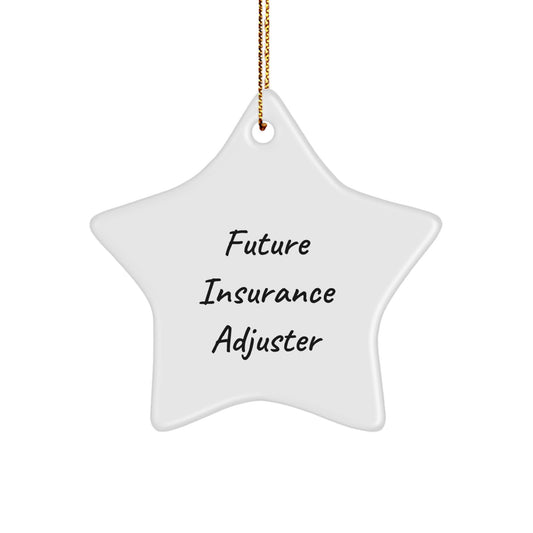 Funny Future Insurance Adjuster Gifts from Friends, Star Ornament for Insurance Adjuster, Christmas Unique Decorations - 'May the stars align in your favor' - Image 1