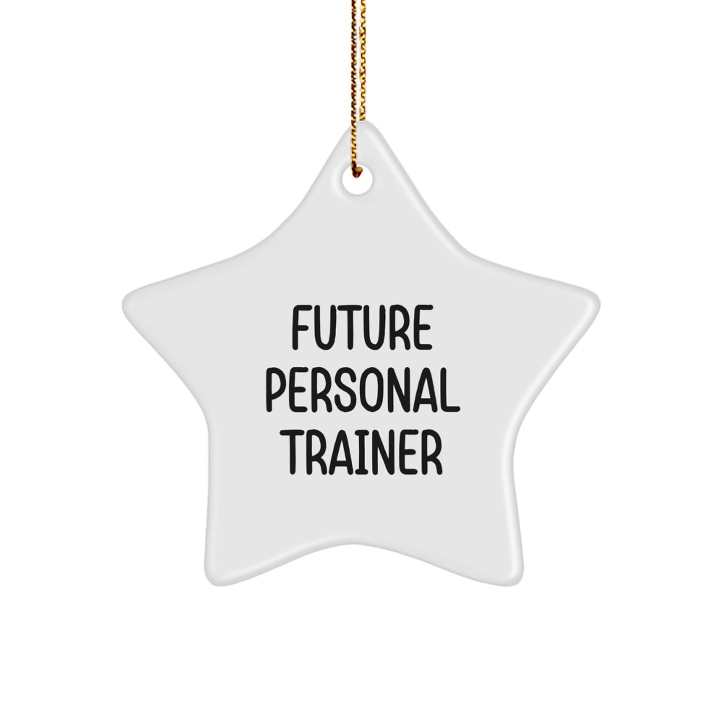 Funny Personal Trainer Star Ornament Gifts from Friends for Future Personal Trainers on Christmas - Image 1