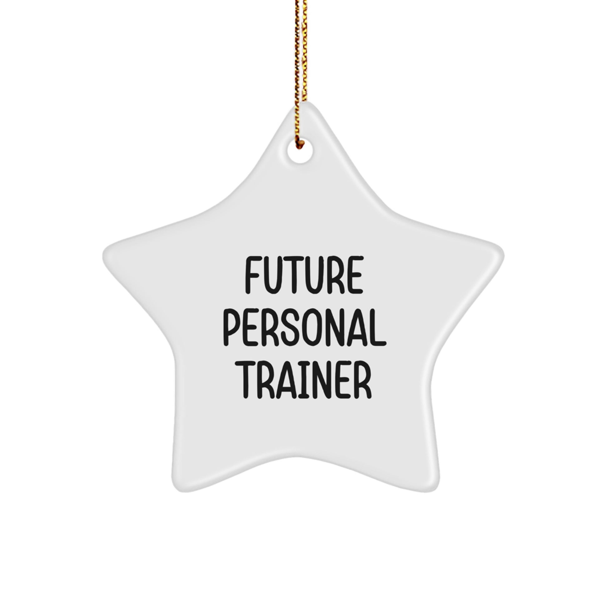 Funny Personal Trainer Star Ornament Gifts from Friends for Future Personal Trainers on Christmas - Image 1