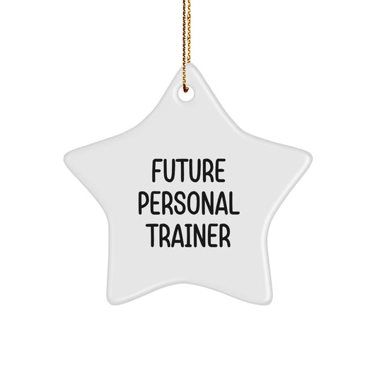 Funny Personal Trainer Star Ornament Gifts from Friends for Future Personal Trainers on Christmas - Image 1