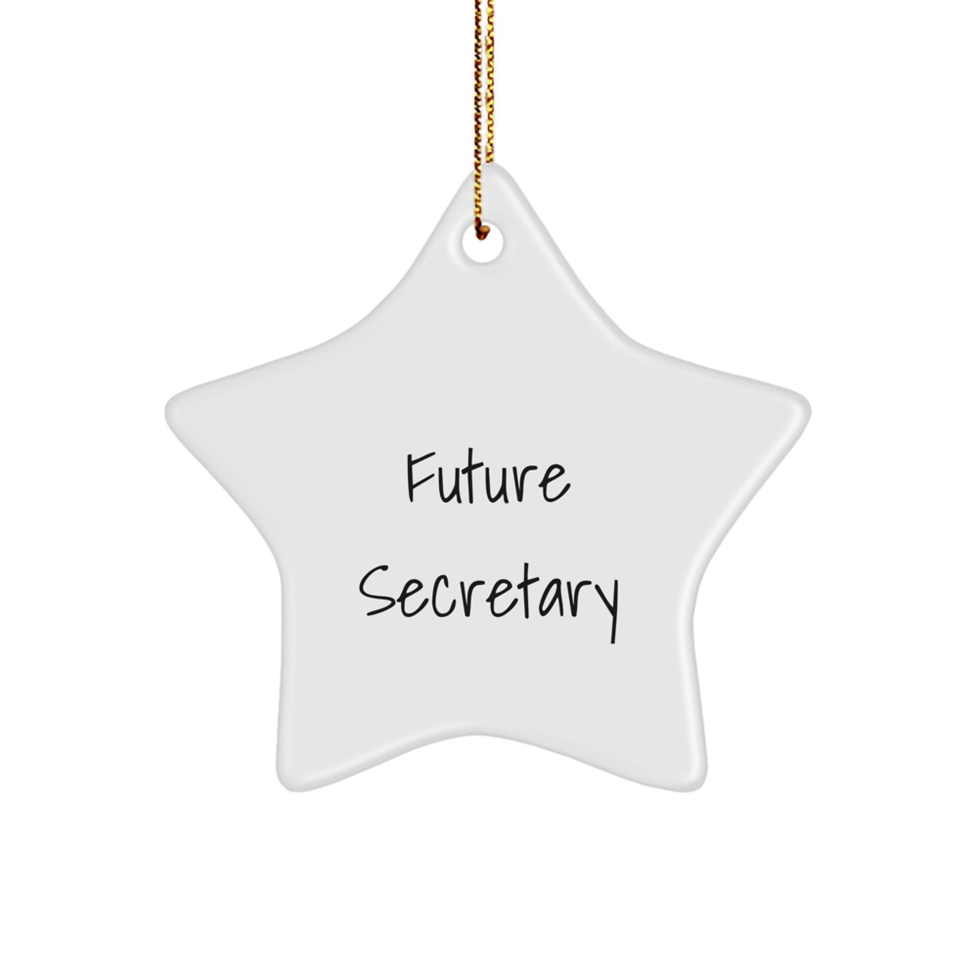Gifts from Men for Future Secretary, Cute Star Ornament, Funny Quote, Christmas Unique Gifts - Image 1
