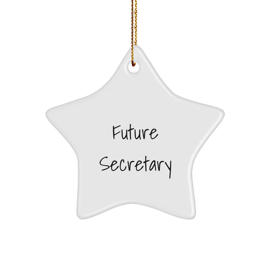 Gifts from Men for Future Secretary, Cute Star Ornament, Funny Quote, Christmas Unique Gifts - Image 1