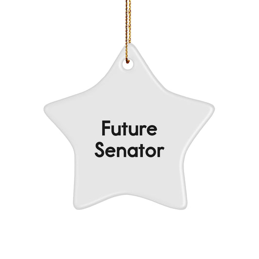Funny Senator Gifts for Men Future Senator Christmas Unique Star Ornament with 'Future Senator, You're a Star!' Quote, Gifts from Family - Image 1