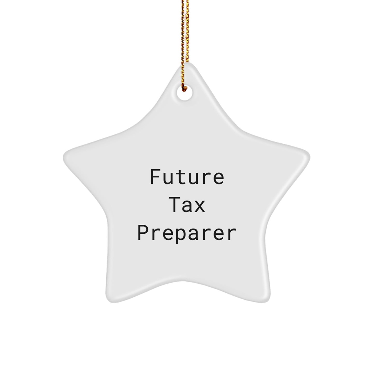 Funny Future Tax Preparer Star Ornament Gifts from Friends for Christmas Unique Decorations - Image 1