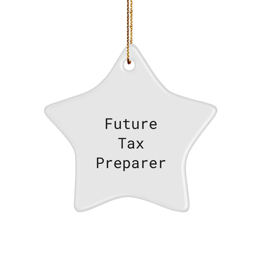 Funny Future Tax Preparer Star Ornament Gifts from Friends for Christmas Unique Decorations - Image 1