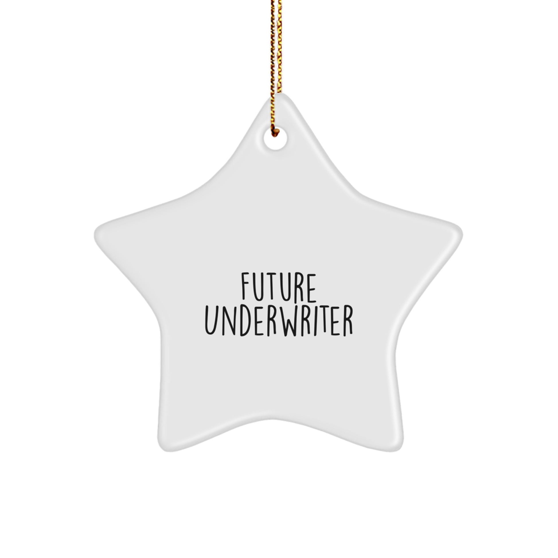 Funny Quote Star Ornament for Future Underwriter Gifts from Friends and Family - Unique Christmas Unique Gifts for Underwriter Men and Women - Underwriter Star Ornament Decorations - Image 1