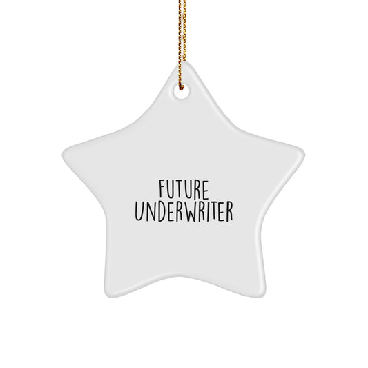 Funny Quote Star Ornament for Future Underwriter Gifts from Friends and Family - Unique Christmas Unique Gifts for Underwriter Men and Women - Underwriter Star Ornament Decorations - Image 1