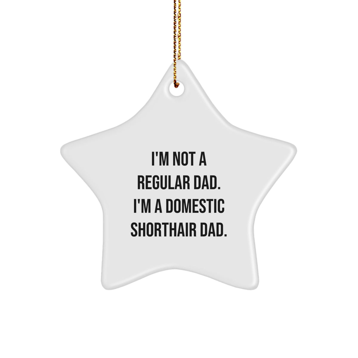 Domestic Shorthair Cat Star Ornament Funny Quote Gifts from Men to Family for Christmas - Image 1
