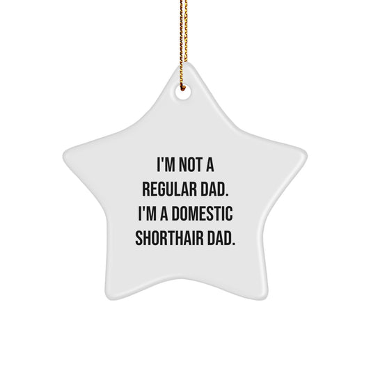 Domestic Shorthair Cat Star Ornament Funny Quote Gifts from Men to Family for Christmas - Image 1