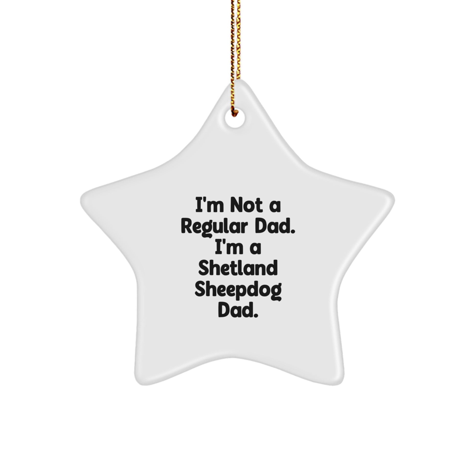 Funny Shetland Sheepdog Star Ornament Gift for Dad, Inspirational Quote 'I'm Not A Regular Dad', Christmas Unique Gifts from Men to Family - Image 1