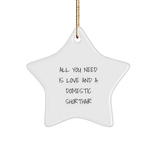 Domestic Shorthair Cat Gifts, Funny Inspirational Quote Star Ornament for Cat Lovers, Christmas Unique Gifts from Friends to Family - Image 1