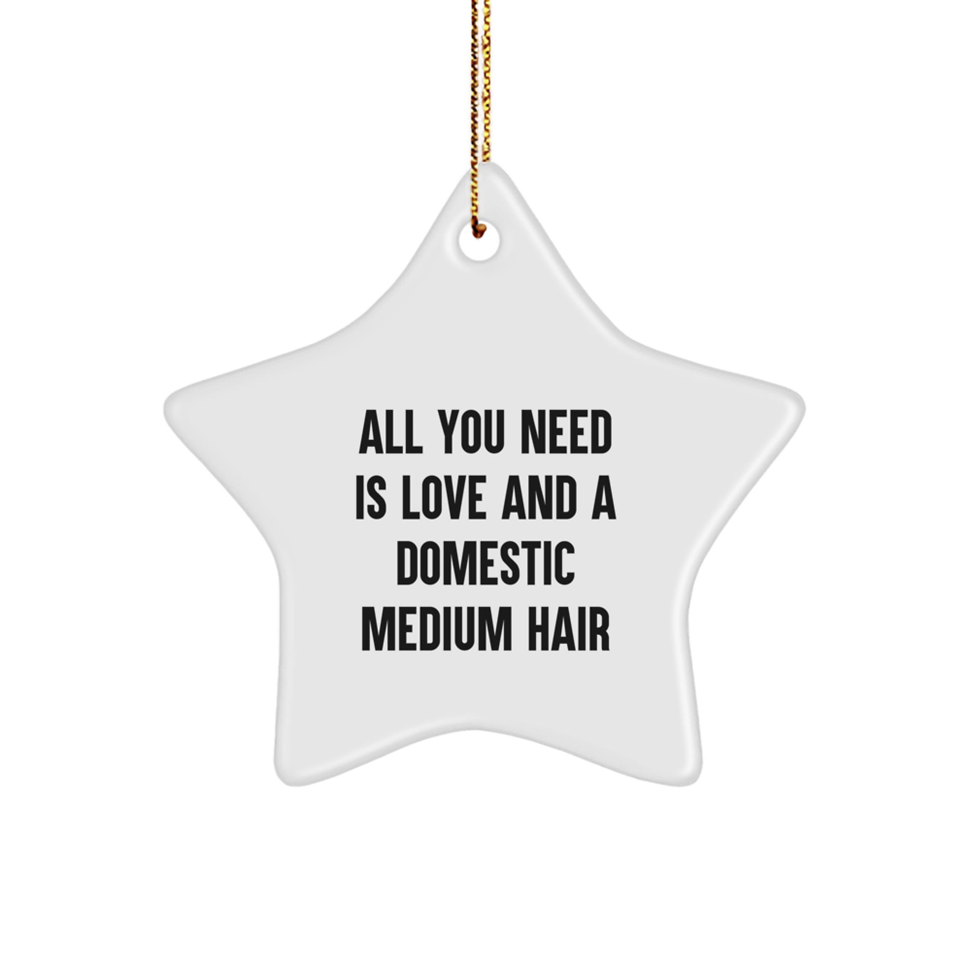Domestic Medium Hair Cat Star Christmas Ornament Love Gift for Him - Image 1