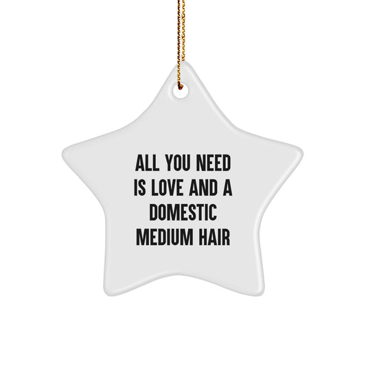 Domestic Medium Hair Cat Star Christmas Ornament Love Gift for Him - Image 1
