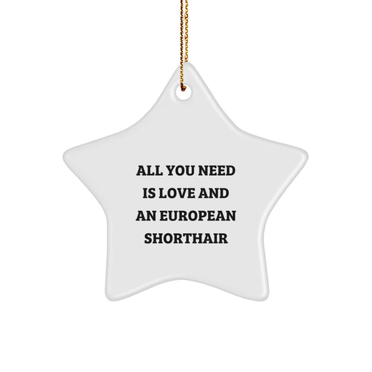 European Shorthair Cat Star Ornament - Funny Quote Gifts from Friends - Perfect Christmas Unique Gifts for European Shorthair Cat Lovers, Men, Women, Family, Friends - Image 1