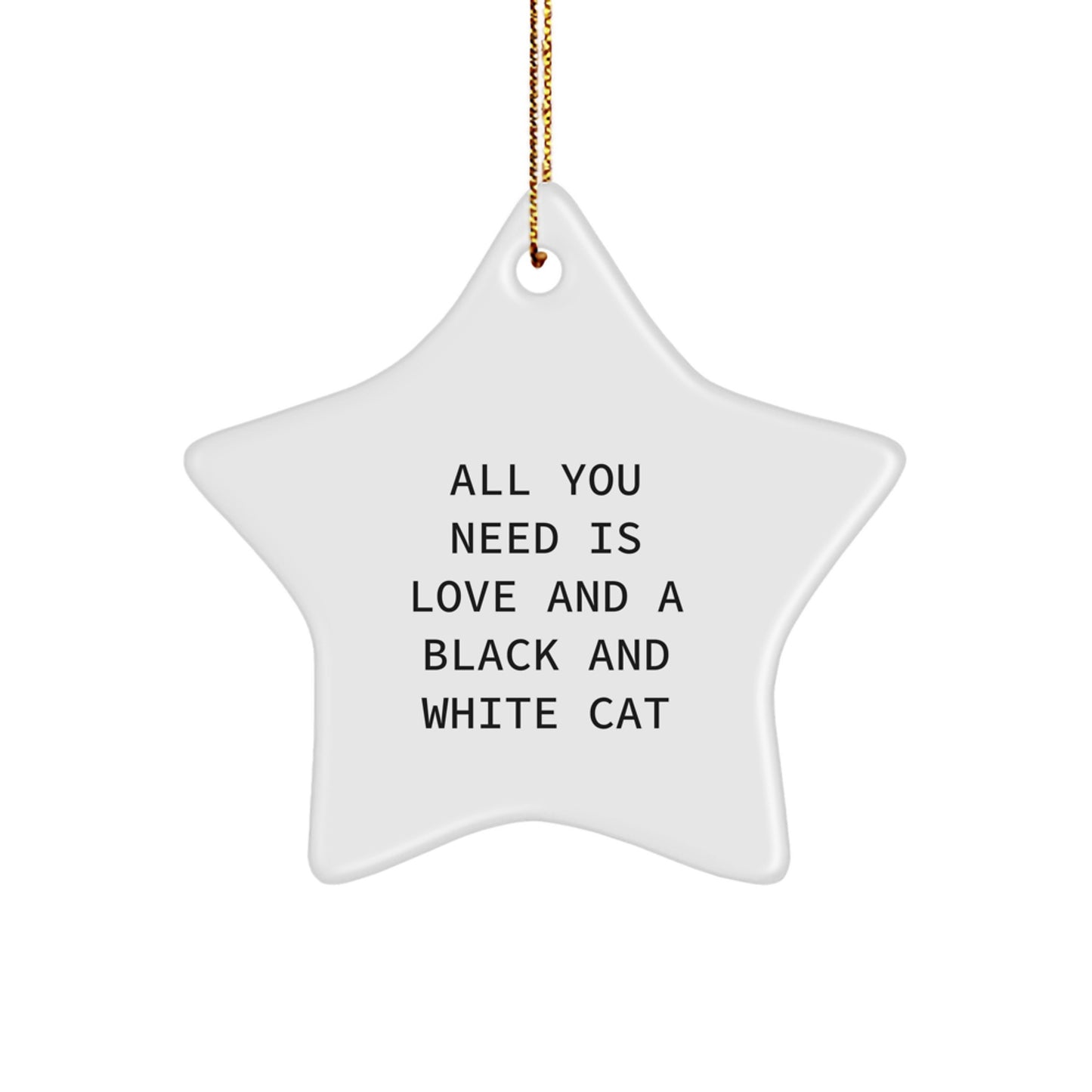 Love Gift for Friends Black and White Cat Star Christmas Ornament - Image 1