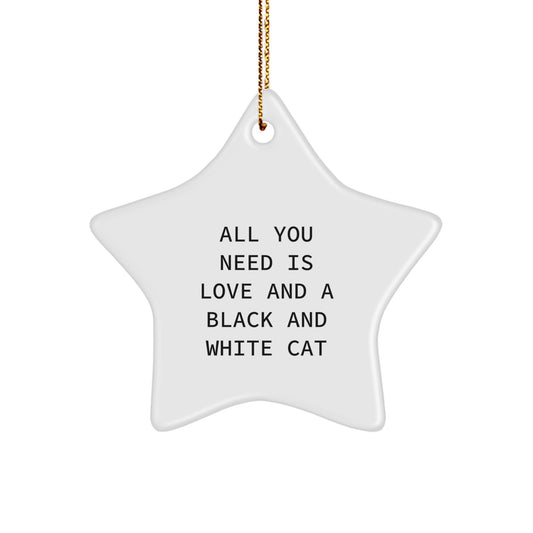 Love Gift for Friends Black and White Cat Star Christmas Ornament - Image 1