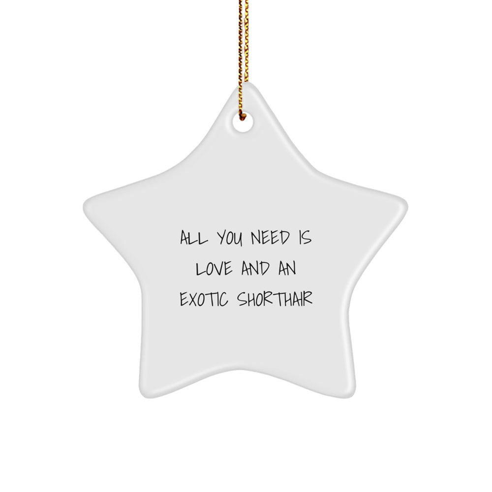 Exotic Shorthair Cat Star Ornament, Funny Quote Gifts for Exotic Shorthair Cat Lovers, Christmas Unique Gifts from Friends to Family - Image 1
