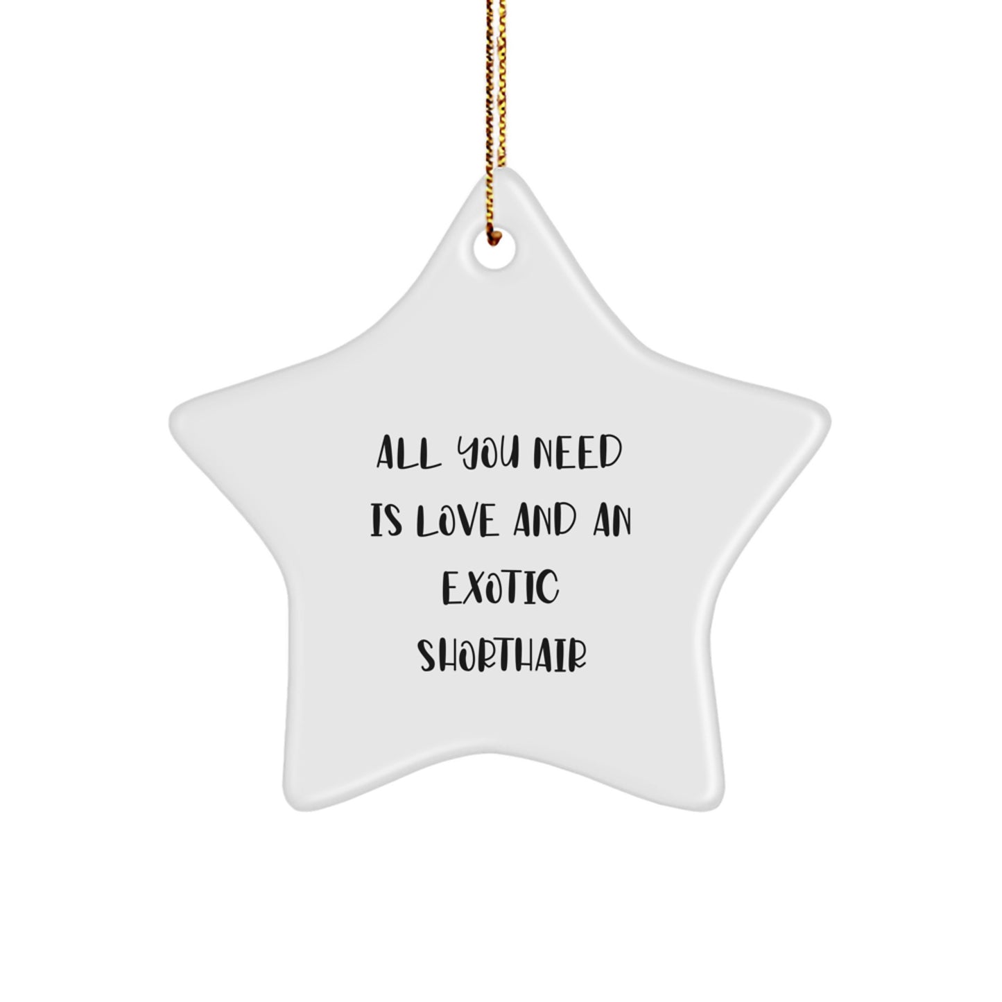 Funny Exotic Shorthair Cat Star Ornament Gifts for Exotic Shorthair Cat Lovers Gifts from Family Friends at Christmas - Image 1