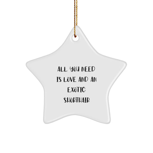 Funny Exotic Shorthair Cat Star Ornament Gifts for Exotic Shorthair Cat Lovers Gifts from Family Friends at Christmas - Image 1