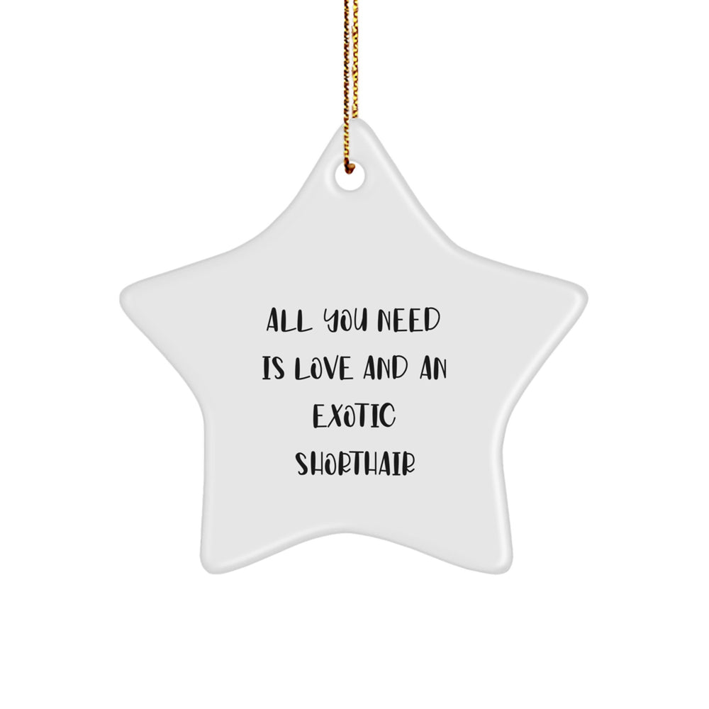 Funny Exotic Shorthair Cat Star Ornament Gifts for Exotic Shorthair Cat Lovers Gifts from Family Friends at Christmas - Image 1