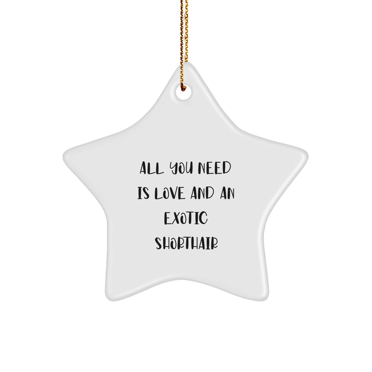 Funny Exotic Shorthair Cat Star Ornament Gifts for Exotic Shorthair Cat Lovers Gifts from Family Friends at Christmas - Image 1