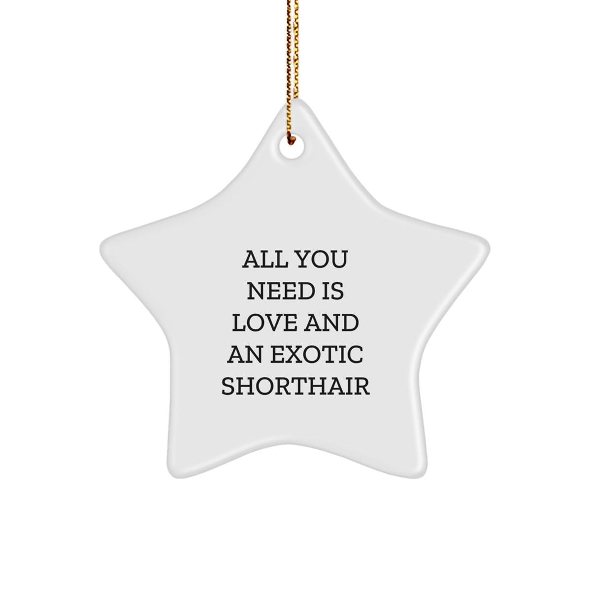 Exotic Shorthair Cat Christmas Star Ornament Gifts from Family Friends for Exotic Shorthair Cat Lovers with 'All You Need Is Love And An Exotic Shorthair' Quote - Image 1