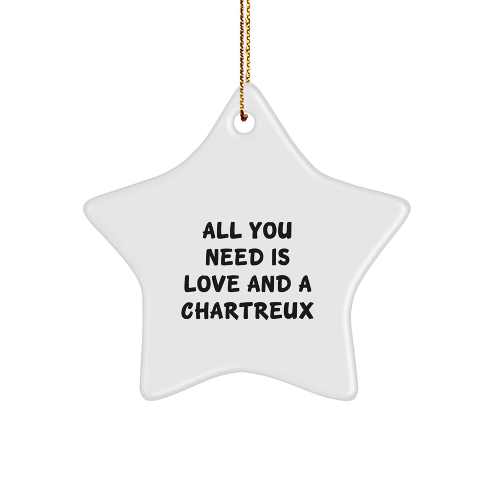 Chartreux Cat Lover Gifts from Family - Fun Star Ornament for Home Christmas Decor - Image 1