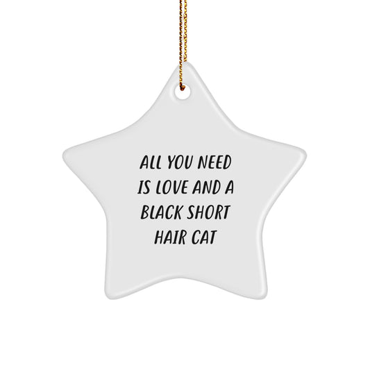 Gifts from Friends for Black Short Hair Cat Lovers - Star Ornament with Funny Quote 'All You Need Is Love And A Black Short Hair Cat' Perfect for Christmas Unique Gifts - Image 1
