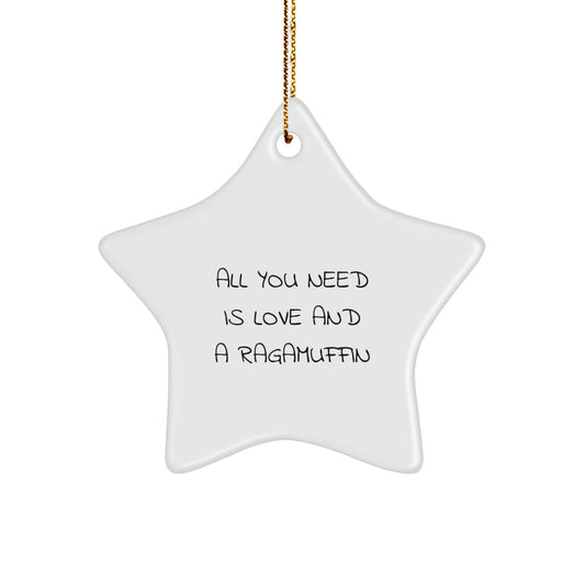 Ragamuffin Cat Star Ornament Gifts from Friends and Family for Christmas Unique - Image 1