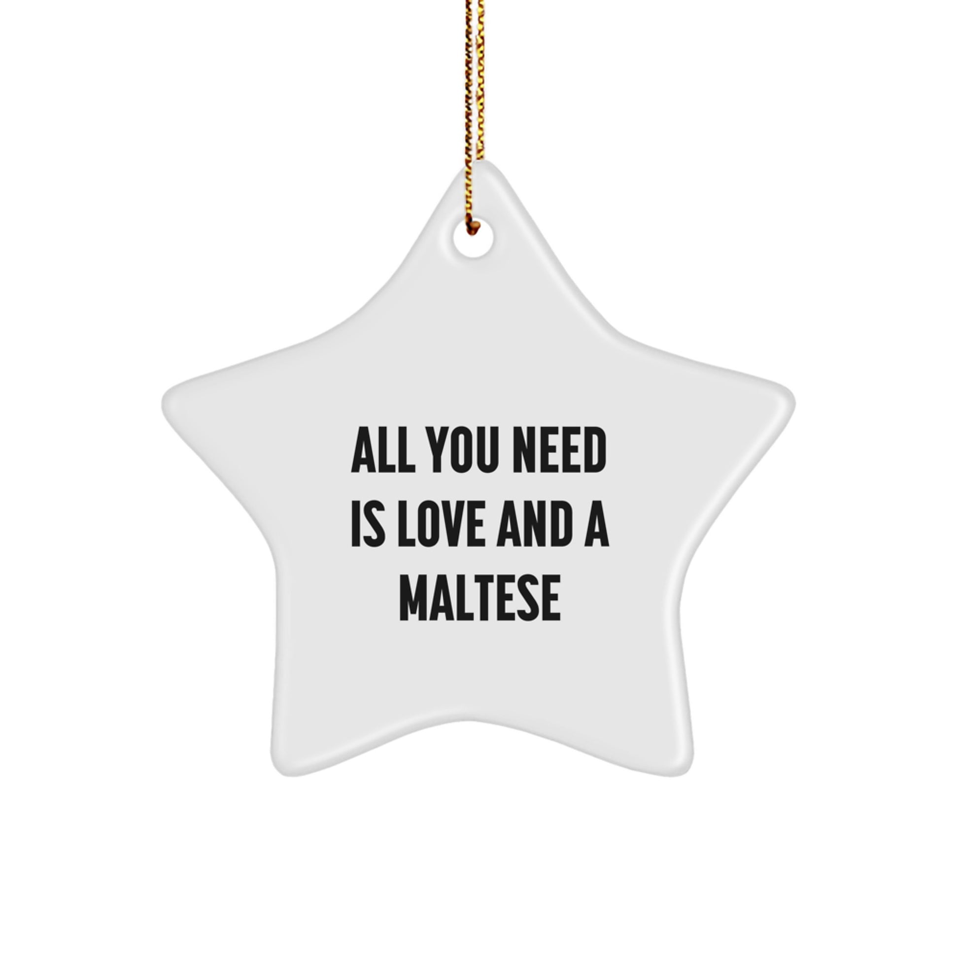Funny Maltese Dog Star Ornament Gifts from Family for Maltese Dog Lovers at Christmas Time - Image 1