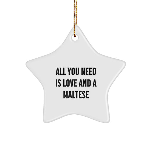 Funny Maltese Dog Star Ornament Gifts from Family for Maltese Dog Lovers at Christmas Time - Image 1