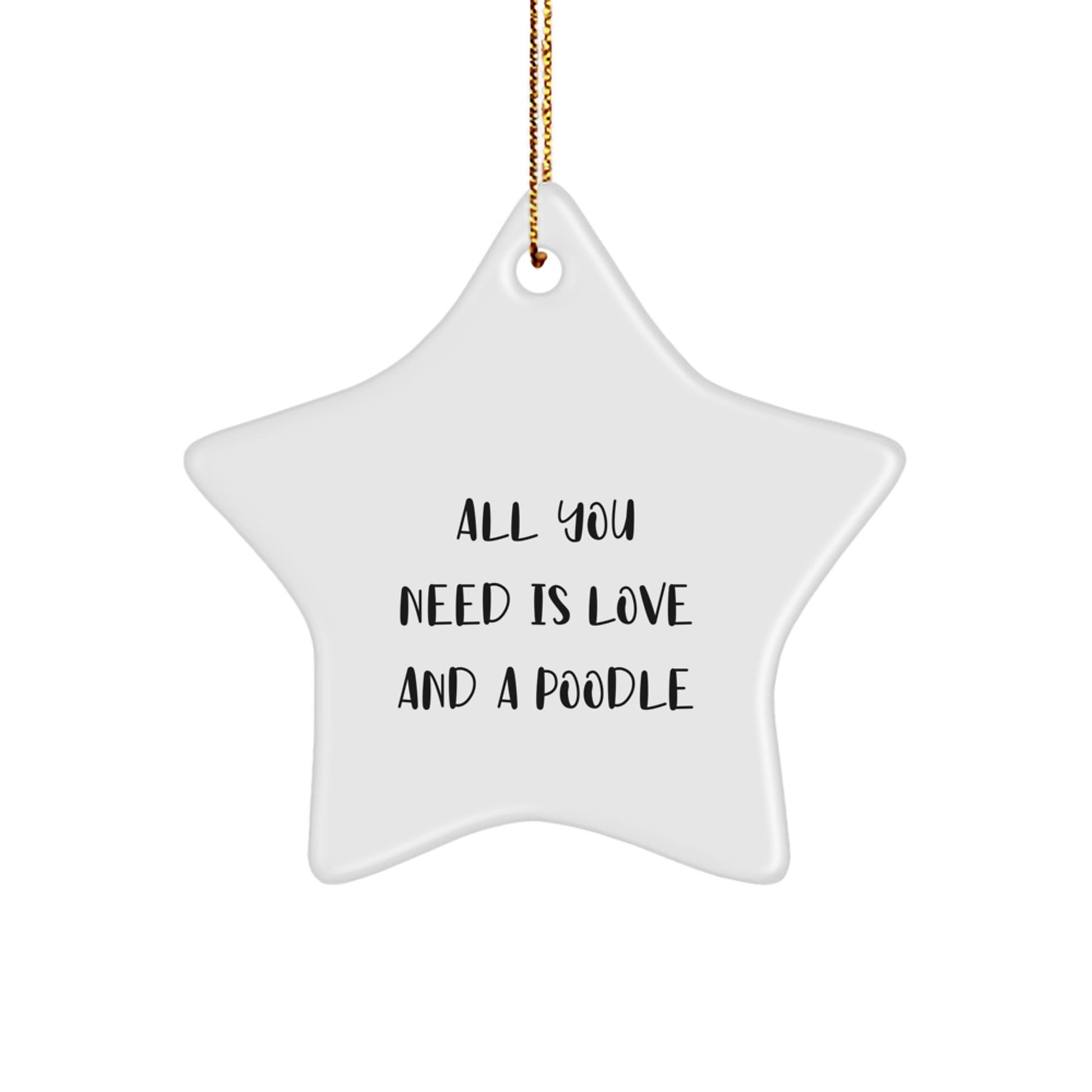 Poodle Dog Star Ornament Gift from Men to Poodle Dog Lover for Christmas Unique Decoration - Image 1