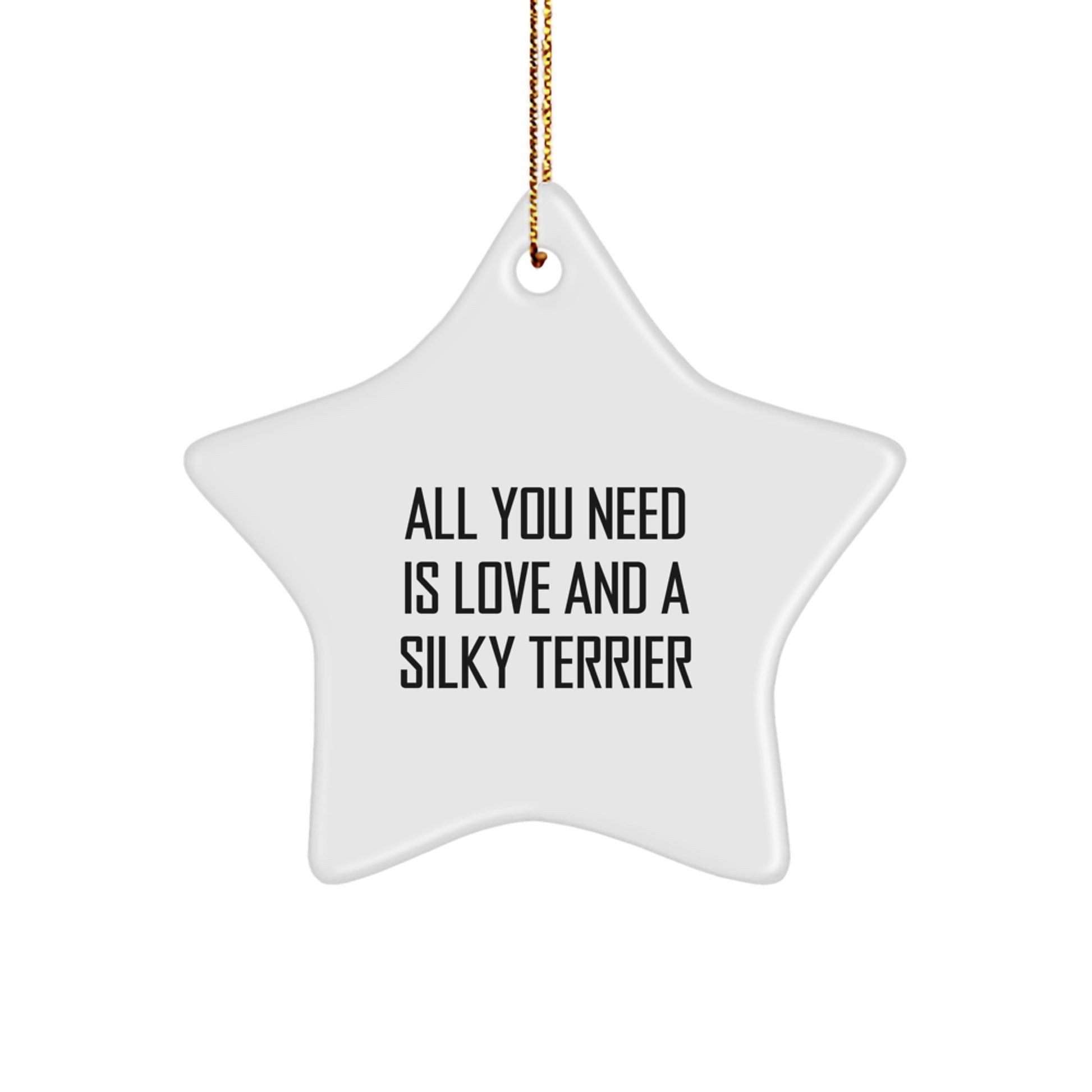 Funny Silky Terrier Dog Star Ornament Gifts from Friends for Christmas Unique Gifts - Image 1