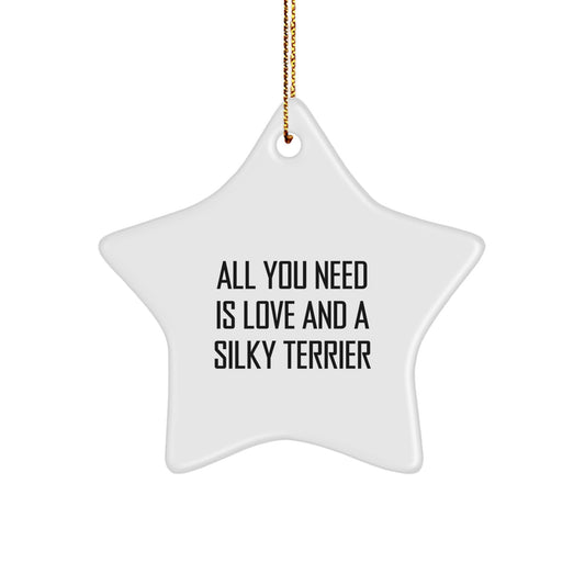 Funny Silky Terrier Dog Star Ornament Gifts from Friends for Christmas Unique Gifts - Image 1
